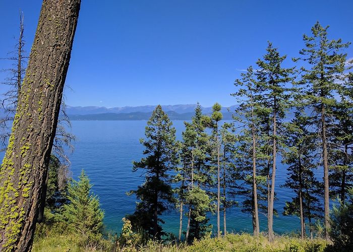 Flathead Lake photo