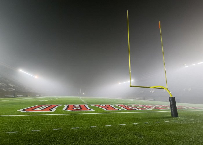 Harvard Stadium photo