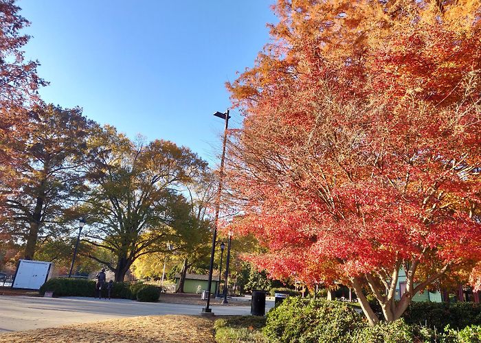 Pullen Park photo