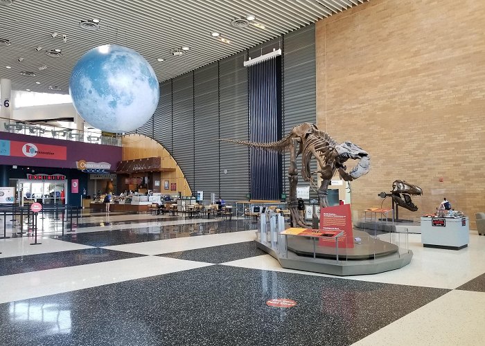 Science Museum of Minnesota photo