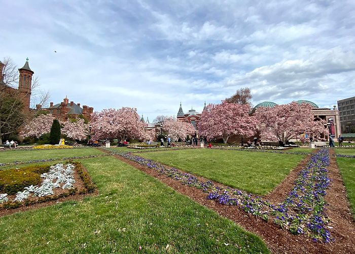 Smithsonian Institution photo