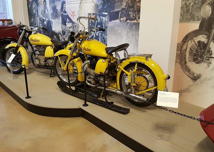 Springfield Museums photo