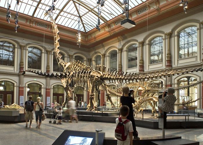 Natural History Museum German natural history museums - Germany Travel photo