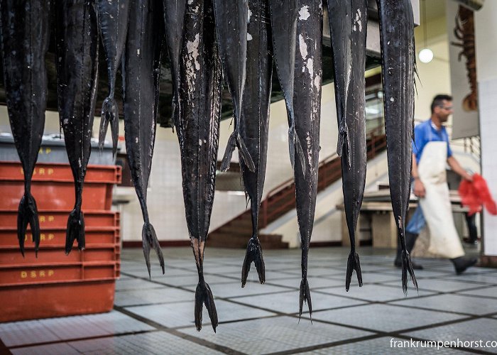 Workers Market madeira | FranksFrankfurt - Daily Sidebars photo