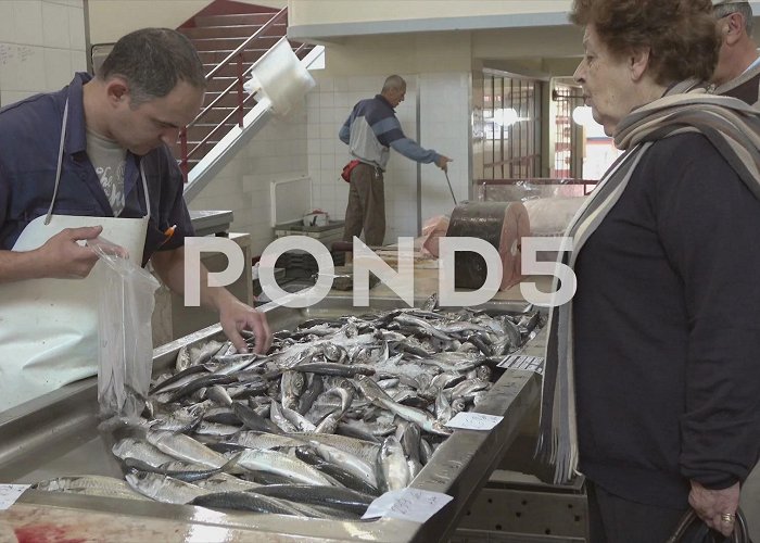 Workers Market Fishmonger chooses fish at Funchal Worke... | Stock Video | Pond5 photo