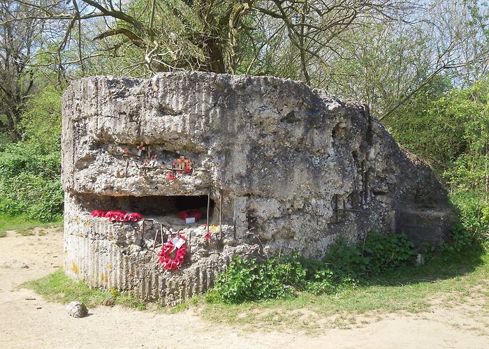 Hill 60 Bespoke Tours to the First & Second World War Battlefields photo