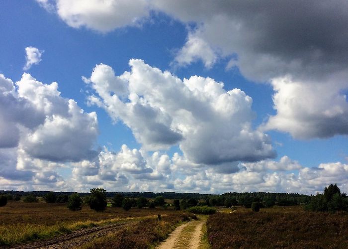 Barfußpark Lüneburg Heath Nature Park Tours - Book Now | Expedia photo