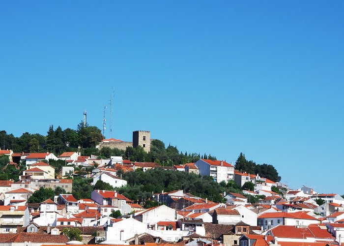 Francisco Tavares Proenca Junior Visit Castelo Branco: 2024 Travel Guide for Castelo Branco ... photo