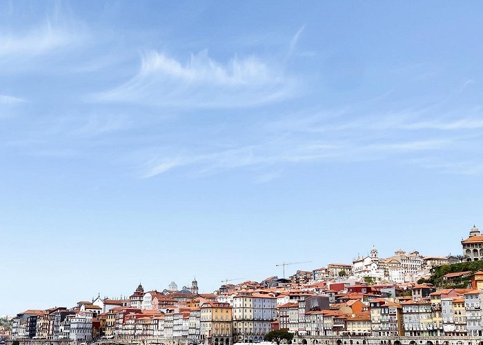 Oporto Sea Life Escape to Portugal - The Hotel Guide photo