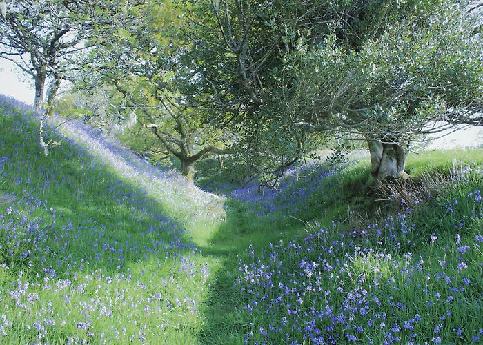 Blackdown Rings Wossname Blog | The blog by, you know, him, Wossname. photo