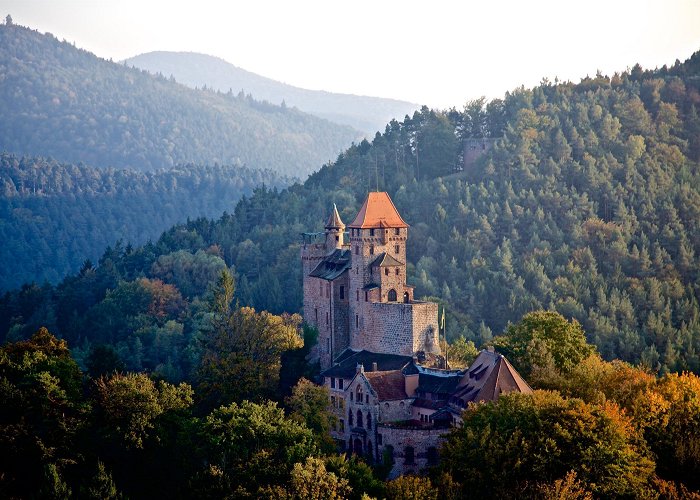 Fleckenstein Castle Conquering Dreierburg Castle | Palatinate photo