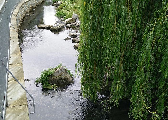 Burghofmuseum Visit Soest: 2024 Travel Guide for Soest, North Rhine-Westphalia ... photo