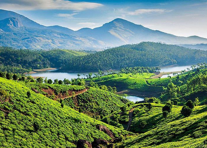 Munnar photo
