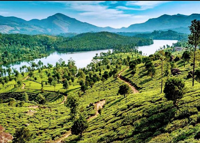 Munnar photo