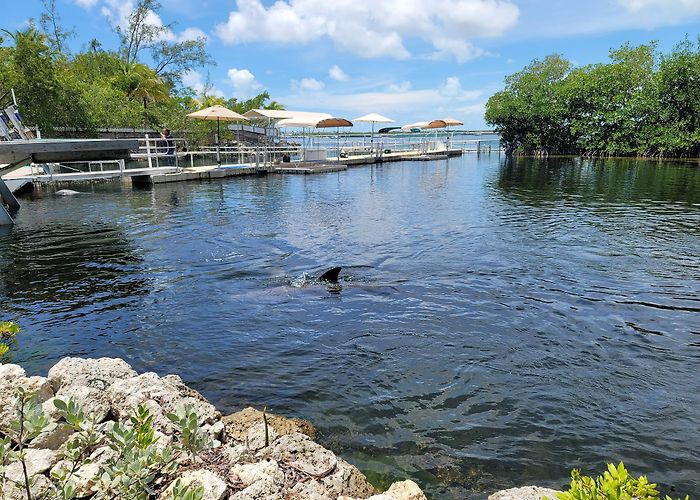 Key Largo photo