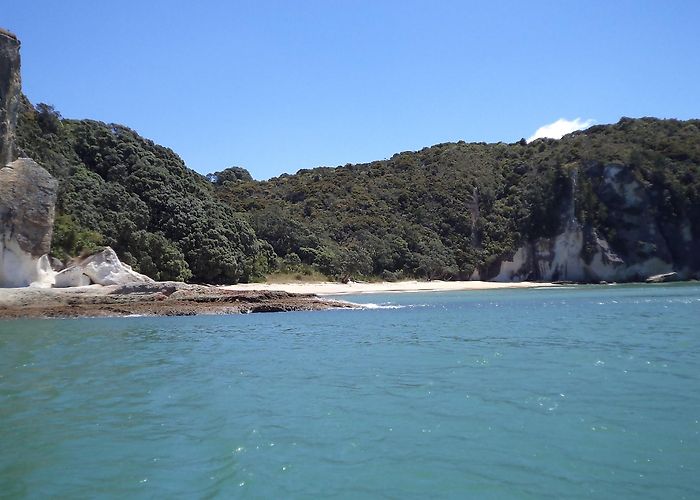 Whitianga photo