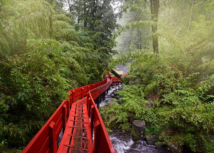 Pucon photo