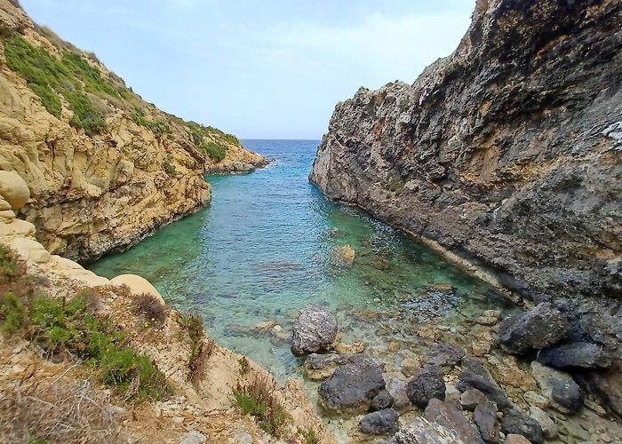 Qala photo
