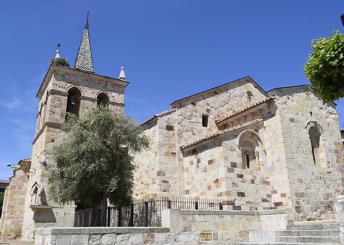 Zamora photo