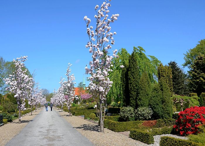 Herning photo