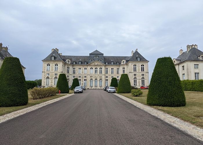 Piney photo