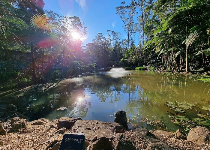 Mount Tamborine photo