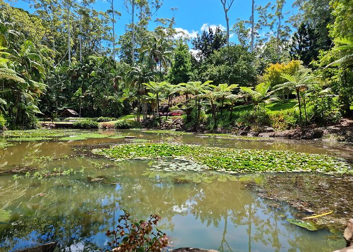 Mount Tamborine photo