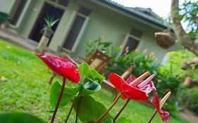 Deniyawatta Bungalow Βίλα Tangalle Exterior photo