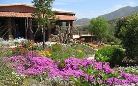 Quinta Maria En La Ruta Del Vino Bed and Breakfast Valle de Guadalupe Exterior photo