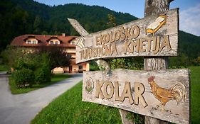 Tourist Farm Kolar Βίλα Ljubno Exterior photo