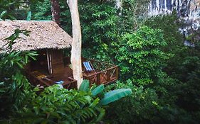 Our Jungle House Ξενοδοχείο Khao Sok National Park Exterior photo