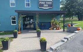 Pine Tree Inn Μπάνγκορ Exterior photo