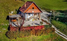 Valley View Holiday Home With Sauna Mrak Slap ob Idrijci Exterior photo