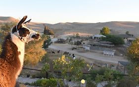 Alpaca Farm - חוות האלפקות Βίλα Mitzpe Ramon Exterior photo