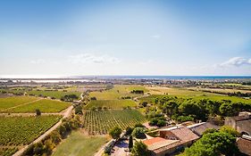 Chateau Le Bouis Bed and Breakfast Gruissan Exterior photo