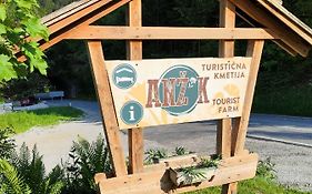 Tourist Farm Anz'K Βίλα Μπλεντ Exterior photo