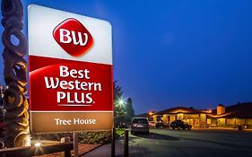 Best Western Plus Tree House Ξενοδοχείο Mount Shasta Exterior photo