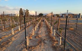 Black Star Ranch Vineyard Ξενοδοχείο Pahrump Exterior photo