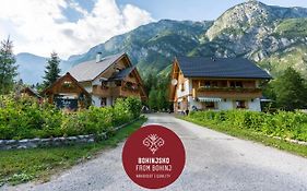 Alpik Chalets - Bohinj Exterior photo