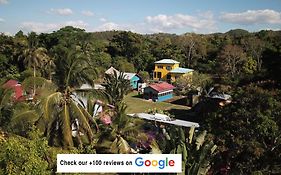 Lower Dover Jungle Lodge & Maya Ruins Unitedville Exterior photo