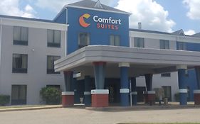 Comfort Suites Airport South Μοντγκόμερι Exterior photo