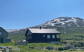 Bjorgo Gard - Stegastein Διαμέρισμα Aurland Exterior photo