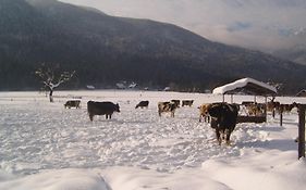 Farmhouse Soklic Διαμέρισμα Bohinj Exterior photo