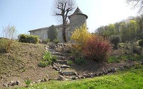 Chateau De La Moissetie Bed and Breakfast Οριγιάκ Exterior photo