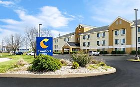 Comfort Inn East Έβανσβιλ Exterior photo