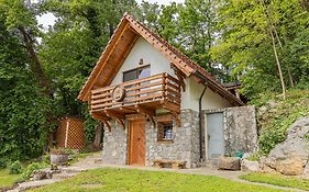 Vineyard Cottage Rataj 2 Νόβο Μέστο Exterior photo