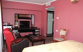 Erebuni Hotel Γιερεβάν Room photo