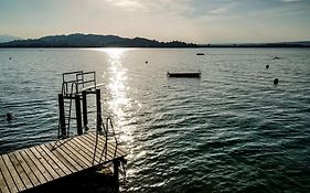 Zug Zugersee Lake- And Mountainview House With Charm Βίλα Exterior photo