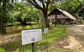 Ambong Rainforest Retreat Βίλα Pantai Cenang  Exterior photo