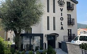 Viola Hotel Μπούντβα Exterior photo